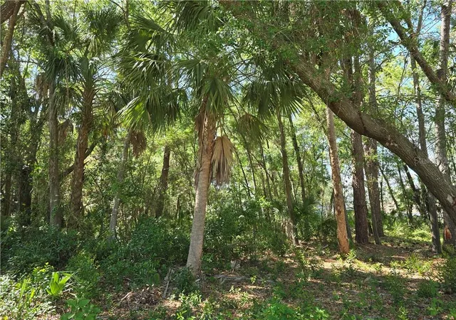Photo 3 of Land for sale at 7075 W Crestview Ln, Crystal River, FL 34429 | MLS# CC854071 | Listing updated on 2026-10-08