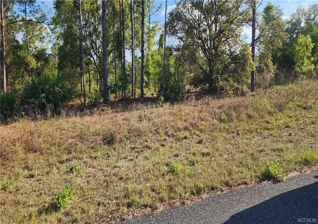 Photo 1 of Land for sale at 3420 W Hayward Ln, Citrus Springs, FL 34433 | MLS# CC854375 | Listing updated on 2026-10-08
