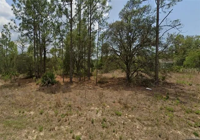 Photo 2 of Land for sale at 3420 W Hayward Ln, Citrus Springs, FL 34433 | MLS# CC854375 | Listing updated on 2026-10-08