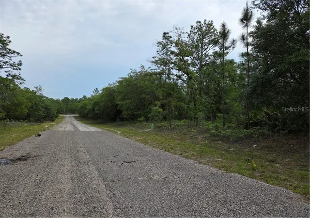 Photo 2 of Land for sale at 6493 N Matheson Dr, Citrus Springs, FL 34434 | MLS# CC854500 | Listing updated on 2026-10-08