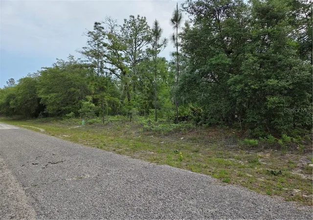 Photo 3 of Land for sale at 6493 N Matheson Dr, Citrus Springs, FL 34434 | MLS# CC854500 | Listing updated on 2026-10-08