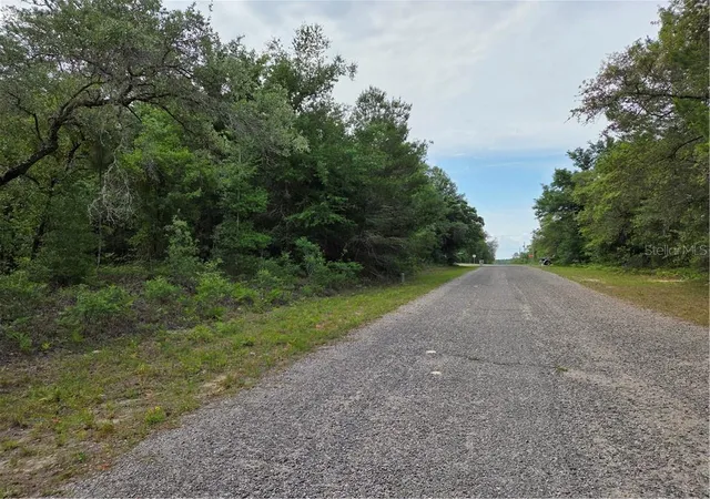 Photo 3 of Land for sale at 6493 N Matheson Dr, Citrus Springs, FL 34434 | MLS# CC854500 | Listing updated on 2026-10-08