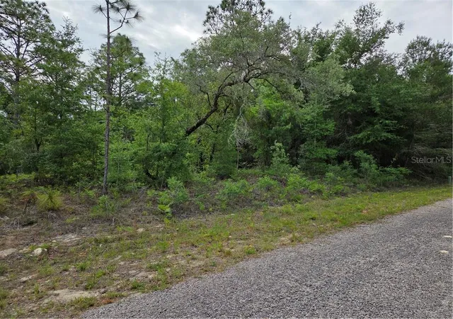 Photo 4 of Land for sale at 6493 N Matheson Dr, Citrus Springs, FL 34434 | MLS# CC854500 | Listing updated on 2026-10-08