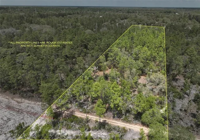 Photo 1 of Land for sale at Tbd NE 56th Street, Bronson, FL 32621 | MLS# CC854510 | Listing updated on 2026-10-08