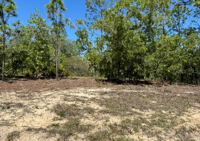 Land for sale at 2888 W Lambert Dr, Dunnellon, FL 34433 | MLS# CC854899
