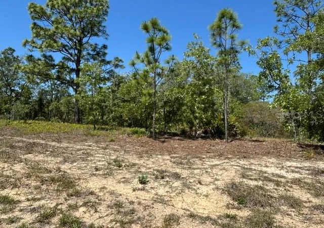 Photo 1 of Land for sale at 2888 W Lambert Dr, Dunnellon, FL 34433 | MLS# CC854899 | Listing updated on 2026-10-08