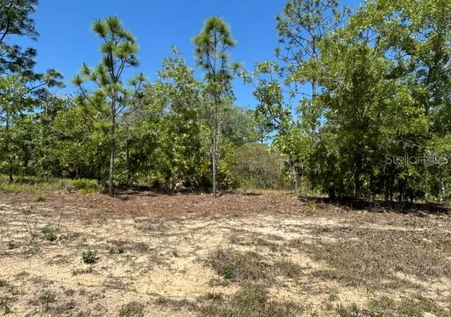Photo 2 of Land for sale at 2888 W Lambert Dr, Dunnellon, FL 34433 | MLS# CC854899 | Listing updated on 2026-10-08
