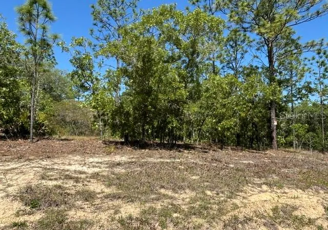 Photo 3 of Land for sale at 2888 W Lambert Dr, Dunnellon, FL 34433 | MLS# CC854899 | Listing updated on 2026-10-08