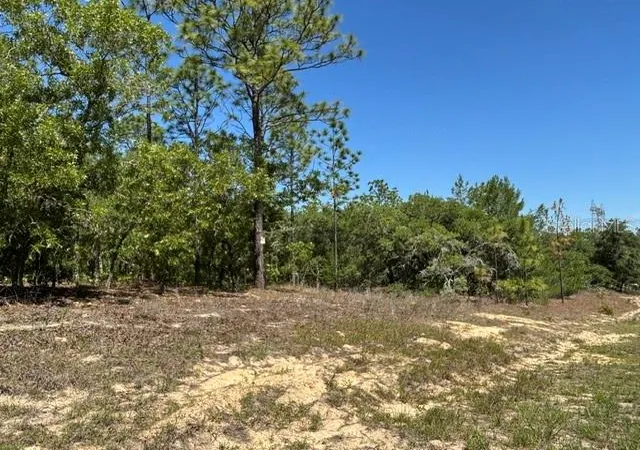 Photo 4 of Land for sale at 2888 W Lambert Dr, Dunnellon, FL 34433 | MLS# CC854899 | Listing updated on 2026-10-08