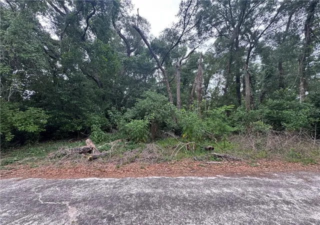 Land for sale at 3638 E Lee Dr, Inverness, FL 34453 | MLS# CC855197