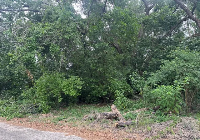 Photo 3 of Land for sale at 3638 E Lee Dr, Inverness, FL 34453 | MLS# CC855197 | Listing updated on 2026-10-08