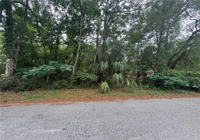 Land for sale at 3462 E Michael St, Inverness, FL 34453 | MLS# CC855198