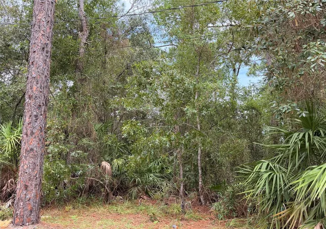 Photo 3 of Sale Pending at 5710 S Leopard Point, Homosassa, FL 34446 | MLS# TB8548043 | Listing updated on 2026-09-17