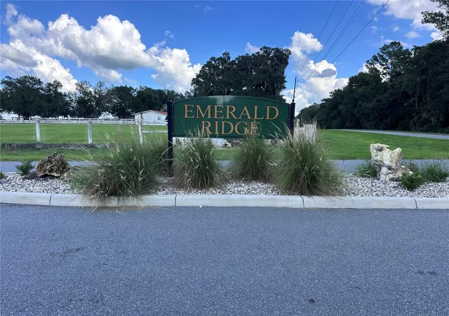 Photo 4 of Land for sale at 16405 NW 464b Hwy, Morriston, FL 32668 | MLS# OM732170 | Listing updated on 2026-09-16