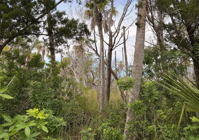 Photo 2 of Land for sale at 11975 W Waterwood Dr, Crystal River, FL 34429 | MLS# TB8548186 | Listing updated on 2026-09-27