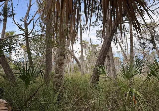 Photo 4 of Land for sale at 11975 W Waterwood Dr, Crystal River, FL 34429 | MLS# TB8548186 | Listing updated on 2026-09-27