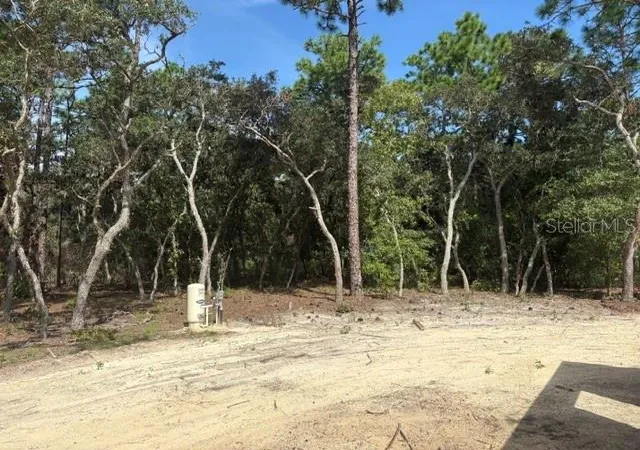 Photo 4 of Single family home for sale at 8454 SW 138th Terrace, Dunnellon, FL 34432 | MLS# OM732181 | Listing updated on 2026-09-14