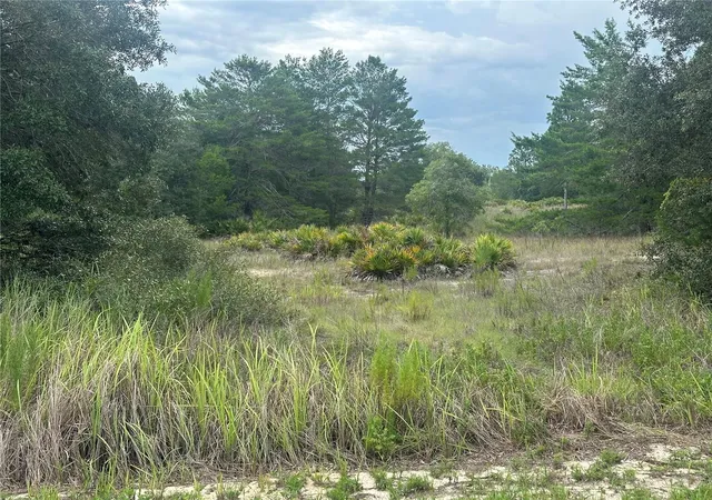 Photo 3 of Land for sale at 6977 S Rainbow Point, Homosassa, FL 34446 | MLS# TB8548265 | Listing updated on 2026-09-14