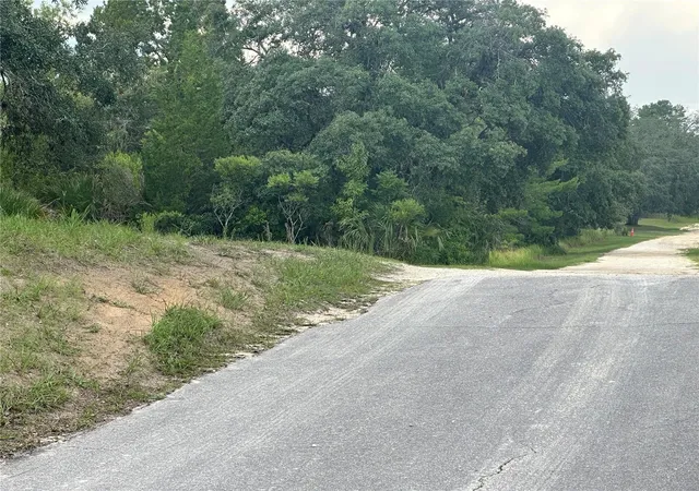 Photo 3 of Land for sale at 6977 S Rainbow Point, Homosassa, FL 34446 | MLS# TB8548265 | Listing updated on 2026-09-14