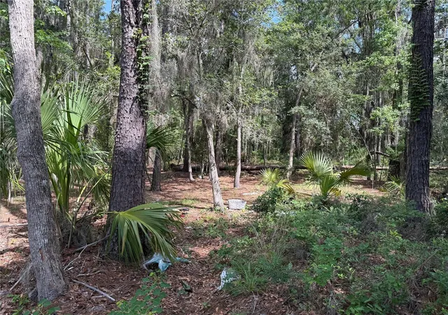 Photo 1 of Land for sale at SW 38 Terrace, Gainesville, FL 32607 | MLS# GC543490 | Listing updated on 2026-09-23