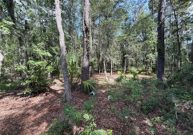 Photo 2 of Land for sale at SW 38 Terrace, Gainesville, FL 32607 | MLS# GC543490 | Listing updated on 2026-09-23