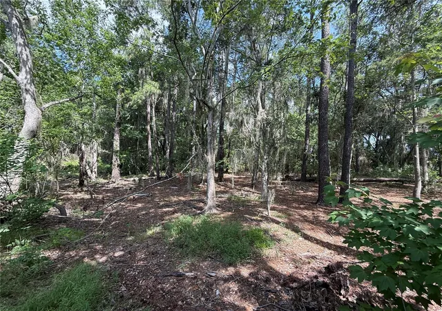 Photo 3 of Land for sale at SW 38 Terrace, Gainesville, FL 32607 | MLS# GC543490 | Listing updated on 2026-09-23