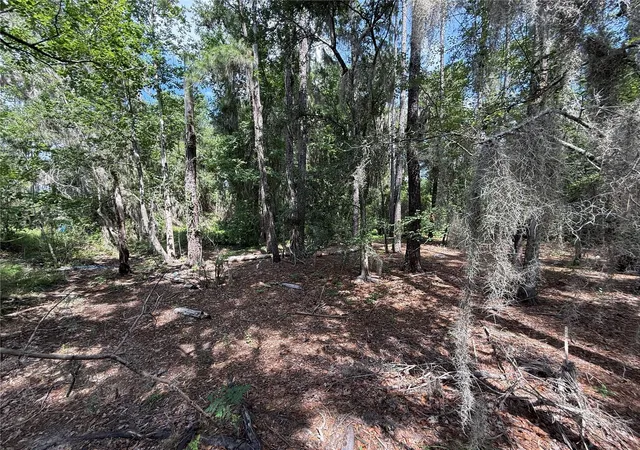 Photo 4 of Land for sale at SW 38 Terrace, Gainesville, FL 32607 | MLS# GC543490 | Listing updated on 2026-09-23