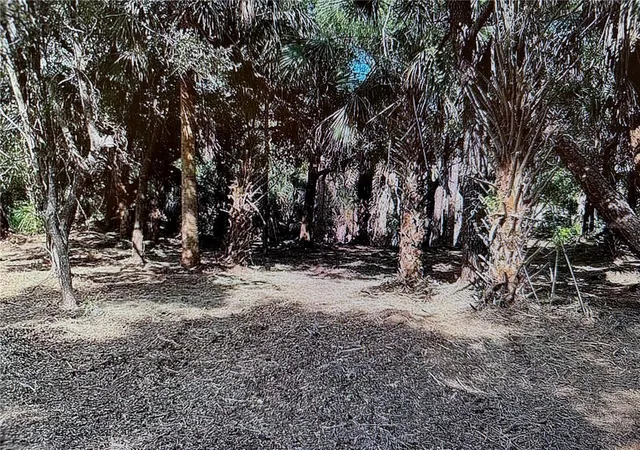 Photo 4 of Land for sale at 296 Hinton St, Port Charlotte, FL 33954 | MLS# N6145745 | Listing updated on 2026-09-14
