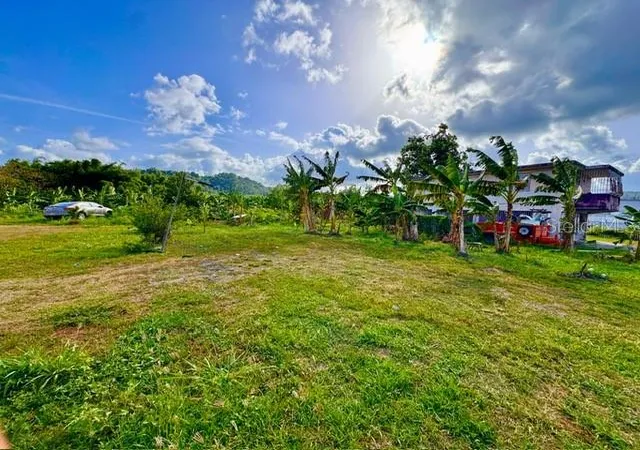 Photo 1 of Land for sale at Bo Limones 2, Yabucoa, PR 00767 | MLS# PR9124145 | Listing updated on 2026-09-14