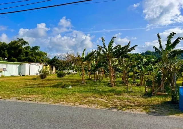 Photo 2 of Land for sale at Bo Limones 2, Yabucoa, PR 00767 | MLS# PR9124145 | Listing updated on 2026-09-14