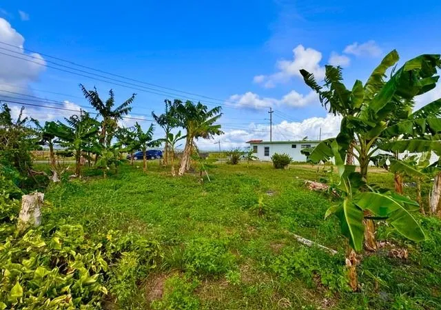 Photo 7 of Land for sale at Bo Limones 2, Yabucoa, PR 00767 | MLS# PR9124145 | Listing updated on 2026-09-14