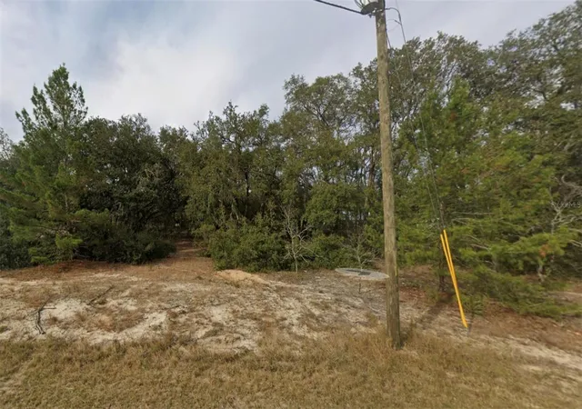 Photo 3 of Land for sale at Fisher Way Crse, Ocklawaha, FL 32179 | MLS# O6441561 | Listing updated on 2026-09-15