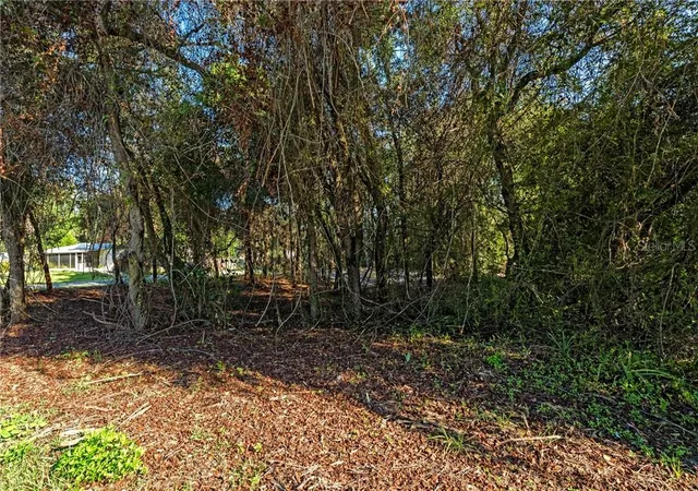 Photo 3 of Land for sale at 8181 W Tracy Ct, Homosassa, FL 34448 | MLS# CC857888 | Listing updated on 2026-10-08