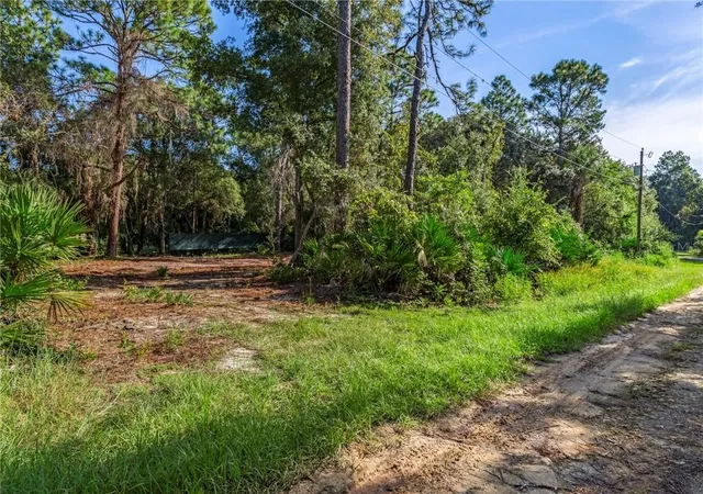 Photo 4 of Land for sale at 8181 W Tracy Ct, Homosassa, FL 34448 | MLS# CC857888 | Listing updated on 2026-10-08