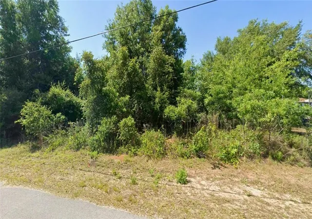 Photo 1 of Land for sale at 3984 E Allendale St, Inverness, FL 34453 | MLS# CC857889 | Listing updated on 2026-10-09