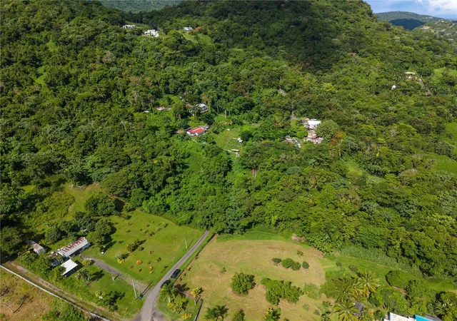 Photo 3 of Land for sale at Mata De Platano, Luquillo, PR 00773 | MLS# PR9124157 | Listing updated on 2026-09-15