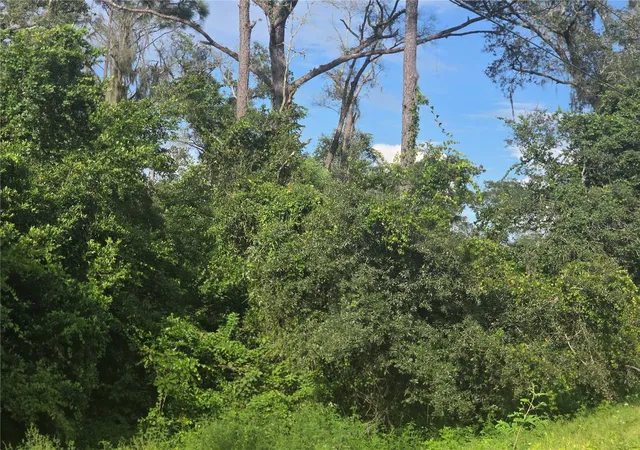 Photo 3 of Land for sale at 158-a Cortez Blvd, Dade City, FL 33523 | MLS# TB8548440 | Listing updated on 2026-09-16
