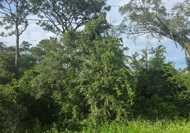 Photo 4 of Land for sale at 158-a Cortez Blvd, Dade City, FL 33523 | MLS# TB8548440 | Listing updated on 2026-09-16