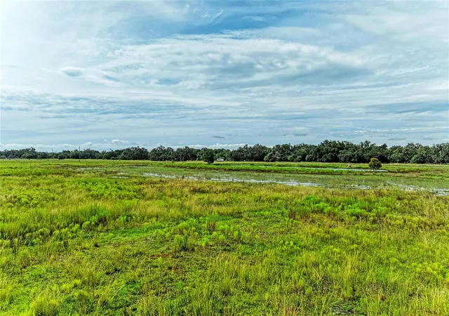 Photo 3 of Land for sale at Coker Gully Rd, Myakka City, FL 34251 | MLS# A4706024 | Listing updated on 2026-10-03