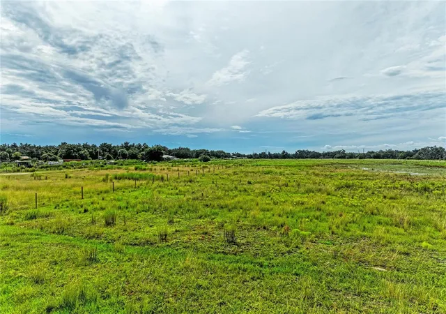 Photo 3 of Land for sale at Coker Gully Rd, Myakka City, FL 34251 | MLS# A4706024 | Listing updated on 2026-10-03