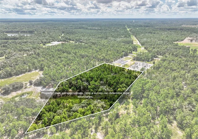 Photo 1 of Land for sale at 0 Lake Ray Rd, Hawthorne, FL 32640 | MLS# FC321430 | Listing updated on 2026-09-15