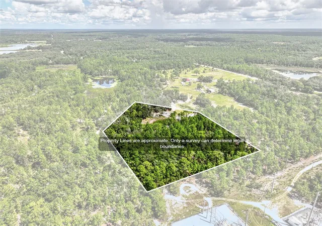 Photo 2 of Land for sale at 0 Lake Ray Rd, Hawthorne, FL 32640 | MLS# FC321430 | Listing updated on 2026-09-15