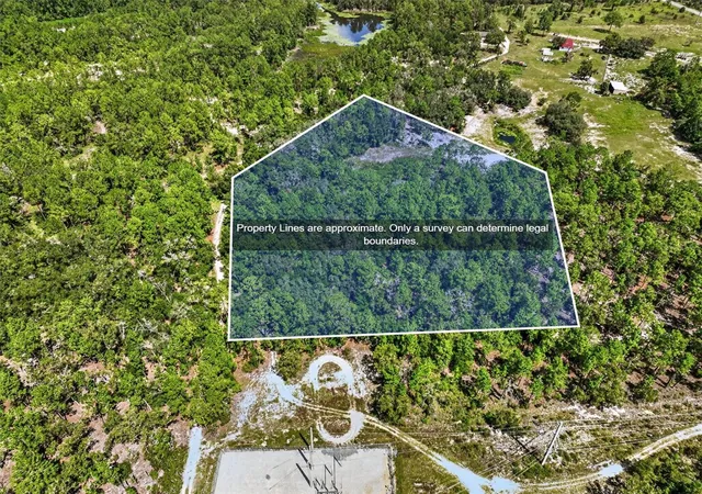 Photo 3 of Land for sale at 0 Lake Ray Rd, Hawthorne, FL 32640 | MLS# FC321430 | Listing updated on 2026-09-15