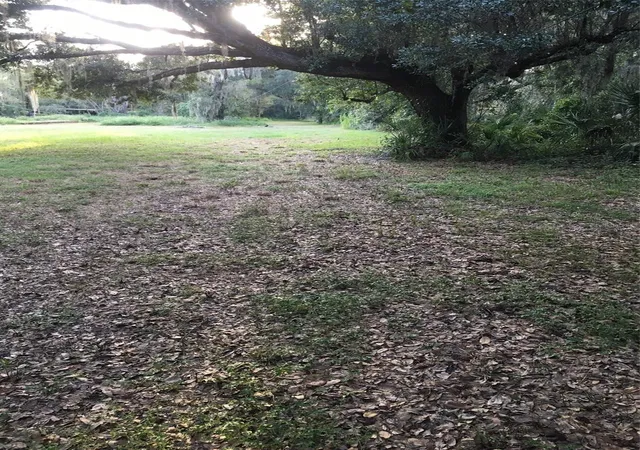 Photo 2 of Land for sale at 7805 Turkey Crk Rd, Plant City, FL 33567 | MLS# TB8548501 | Listing updated on 2026-09-15