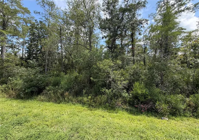 Land for sale at Starry St, ORLANDO, FL 32833 | MLS# S5157556