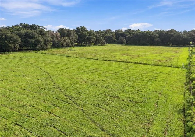 Land for sale at 39410 Sparkman Rd, DADE CITY, FL 33525 | MLS# L4965066