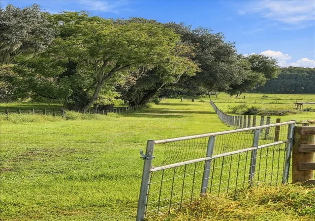 Photo 3 of Land for sale at 39410 Sparkman Rd, Dade City, FL 33525 | MLS# L4965066 | Listing updated on 2026-10-05