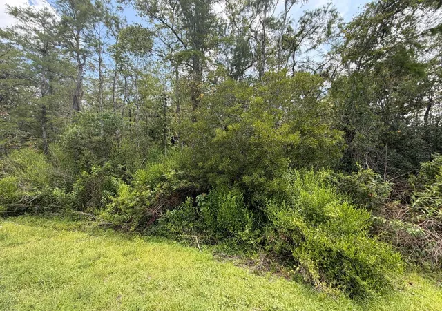 Land for sale at Tunbridge St, ORLANDO, FL 32833 | MLS# S5157569
