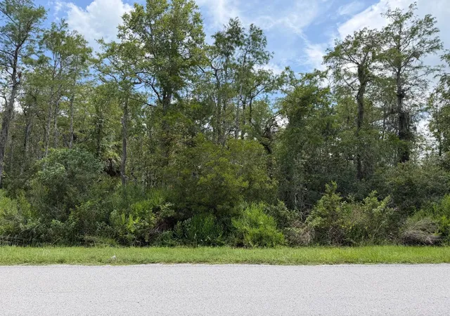 Photo 2 of Land for sale at Tunbridge St, Orlando, FL 32833 | MLS# S5157569 | Listing updated on 2026-09-15