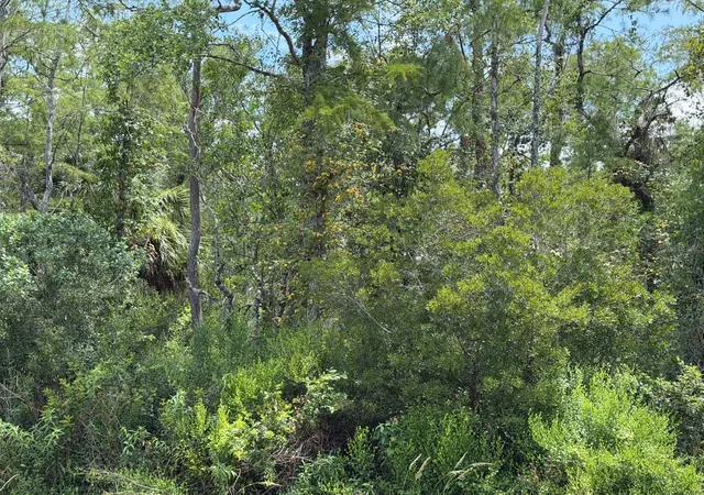 Photo 3 of Sale Pending at Tunbridge St, Orlando, FL 32833 | MLS# S5157569 | Listing updated on 2026-10-04